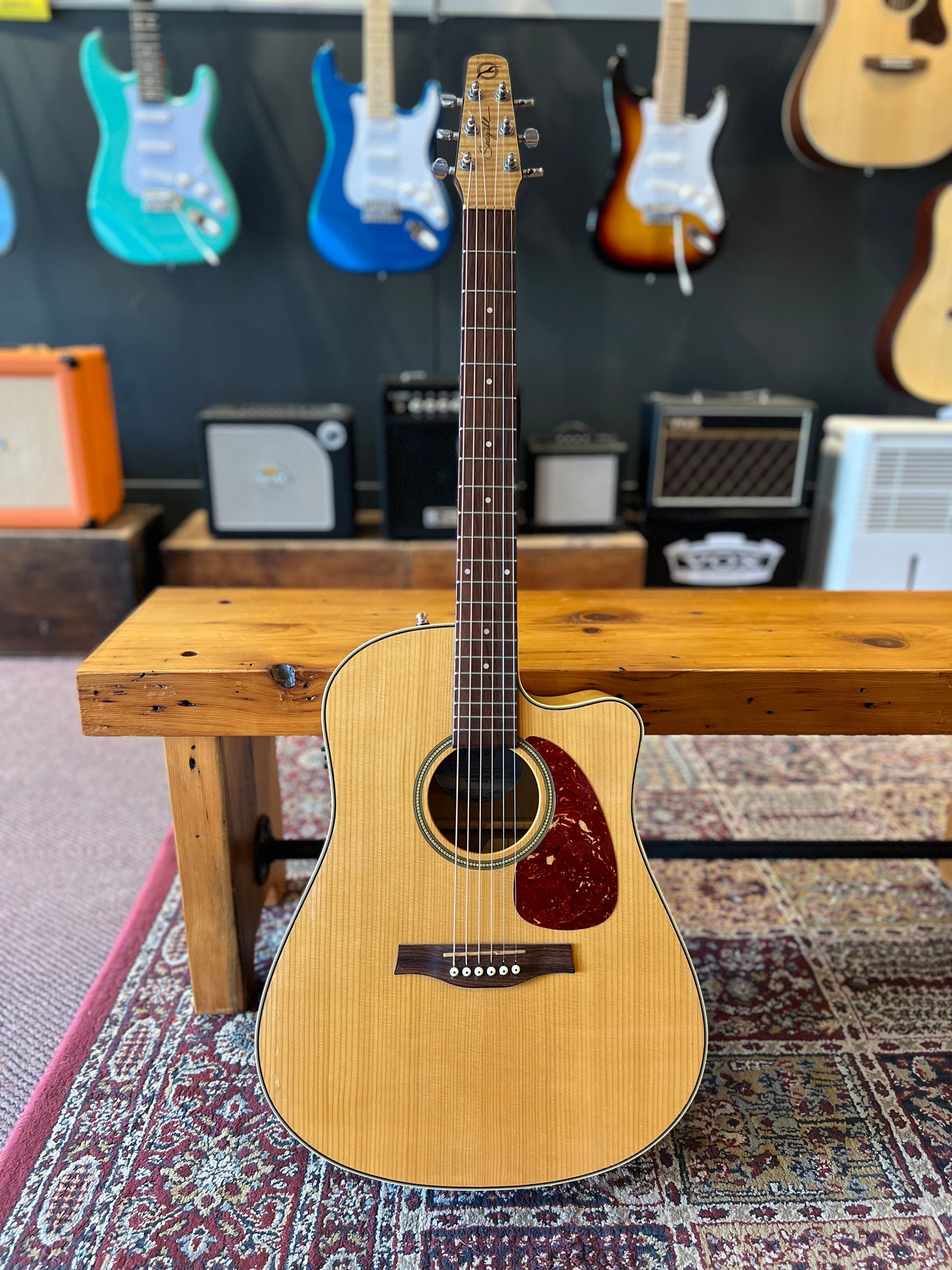 Seagull Performer Maple Cutaway Acoustic Guitar with pickup USED