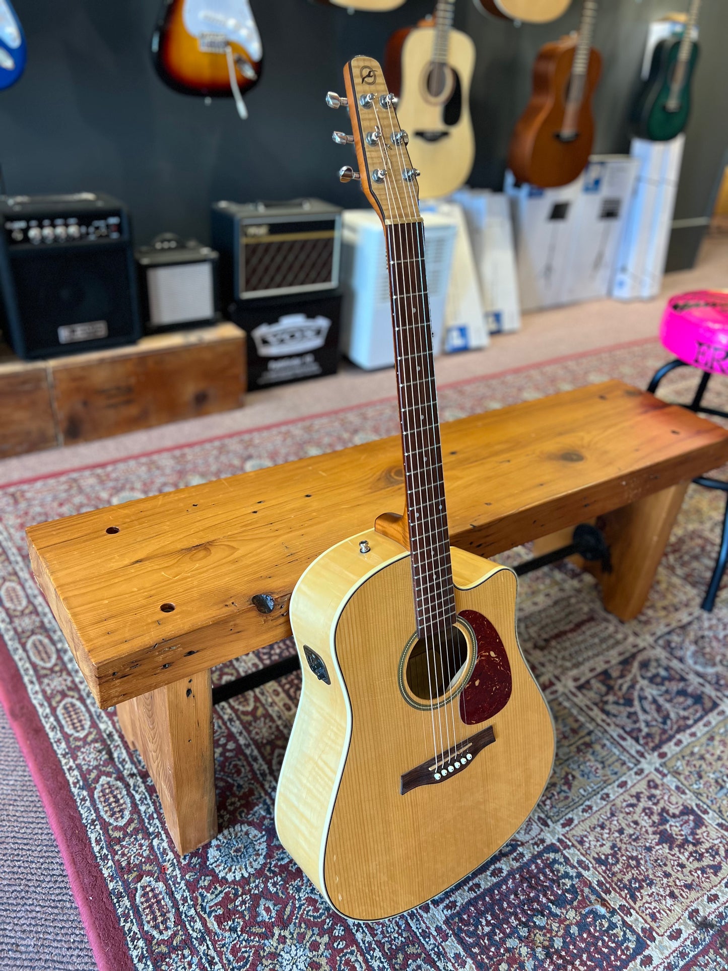 Seagull Performer Maple Cutaway Acoustic Guitar with pickup USED