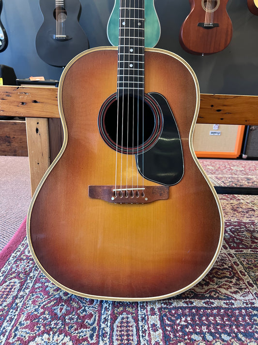 1970's Applause Acoustic Guitar - Aluminum neck model USED