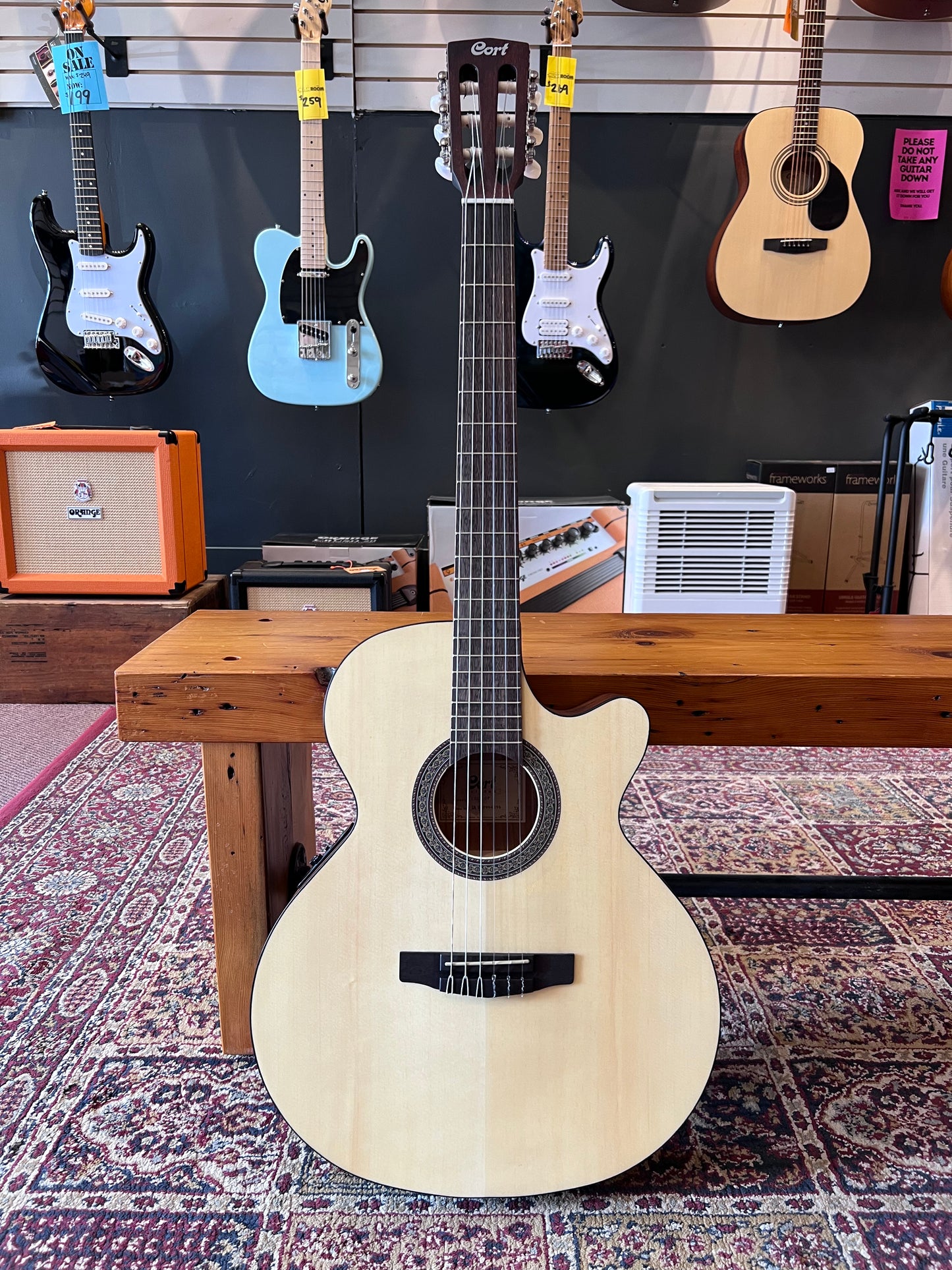 Cort Classic Series Spruce Top Acoustic Classical Guitar, Open Pore