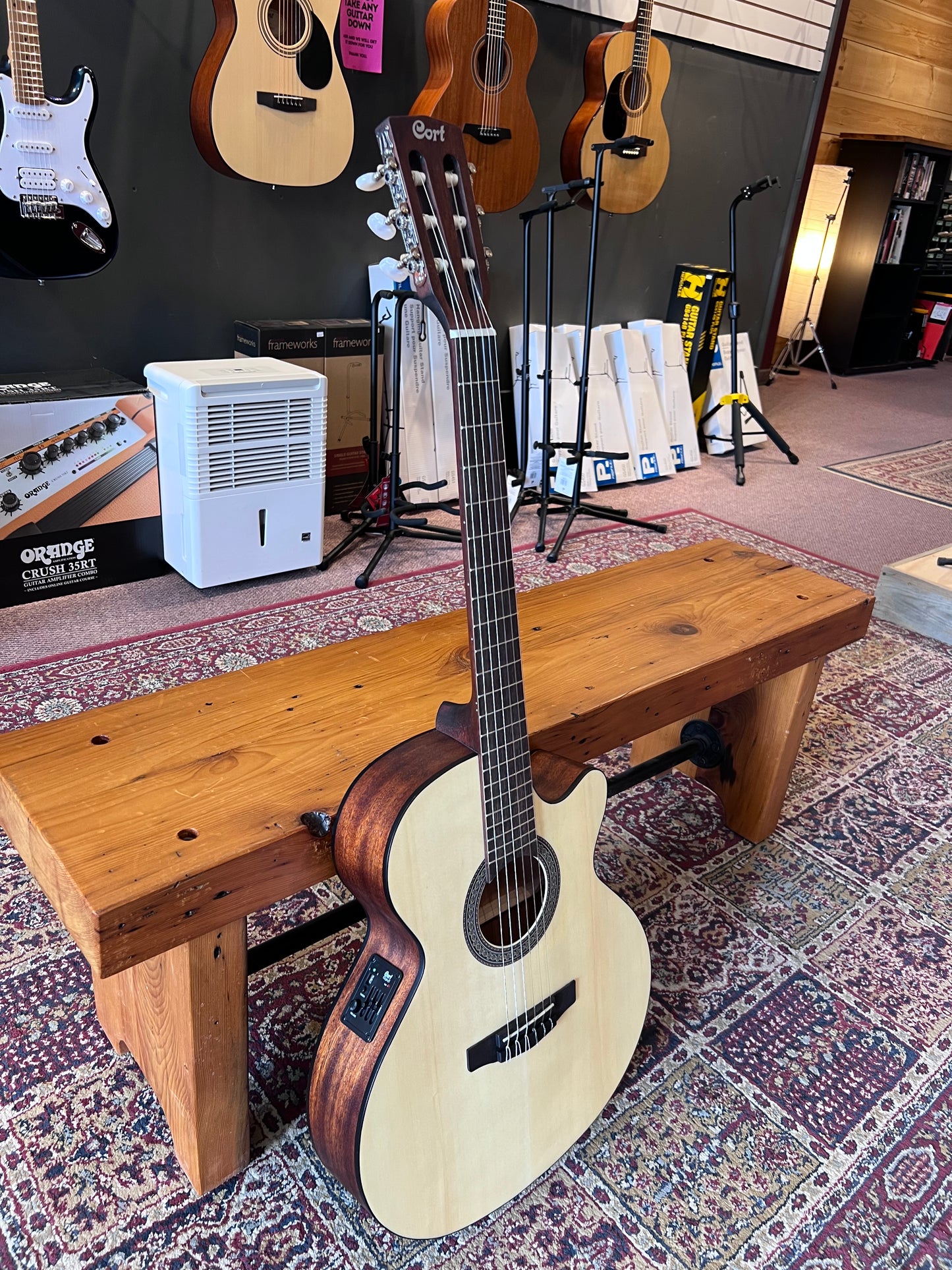 Cort Classic Series Spruce Top Acoustic Classical Guitar, Open Pore